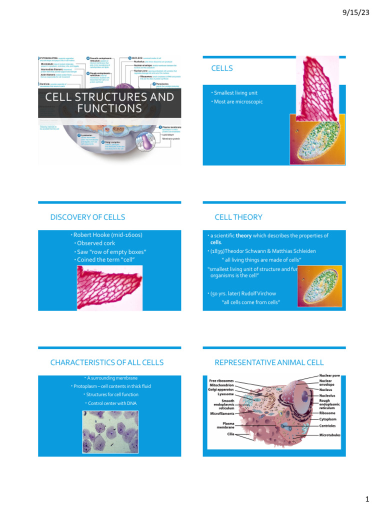 Cell Structures and Functions Overview | PDF | Cell (Biology ...