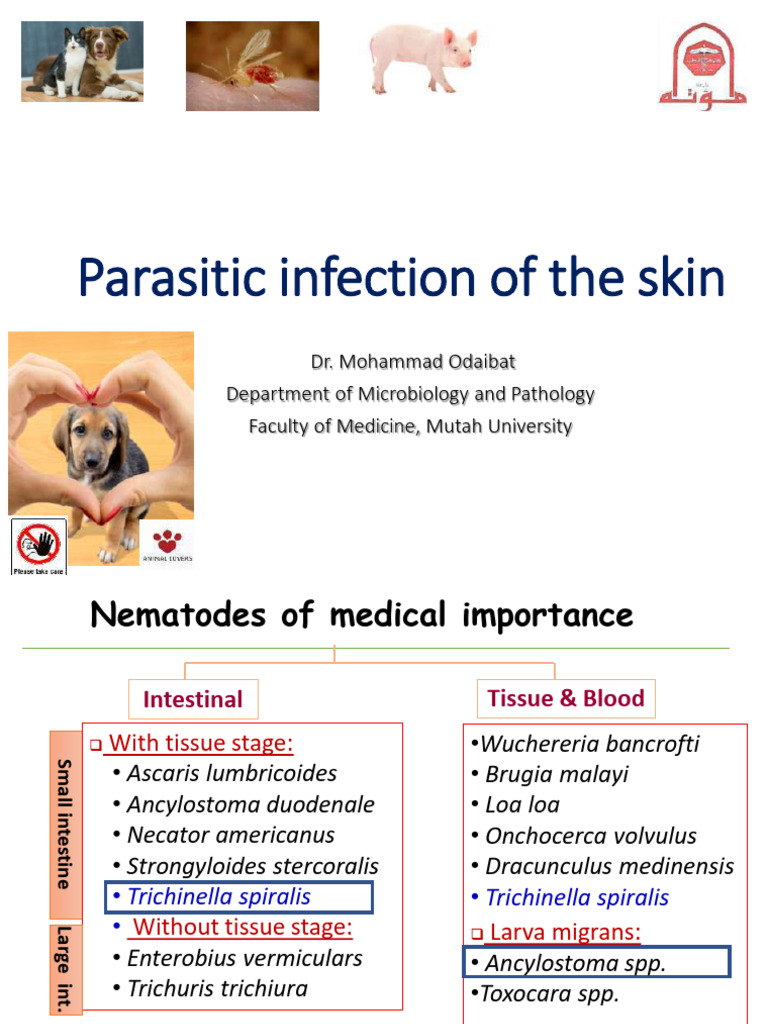 Burrowing Skin Parasites Overview | PDF | Medical Specialties ...