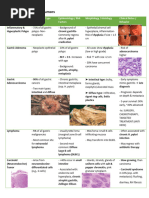 Corazza Villanacci Celiac Classification | PDF | Coeliac Disease ...