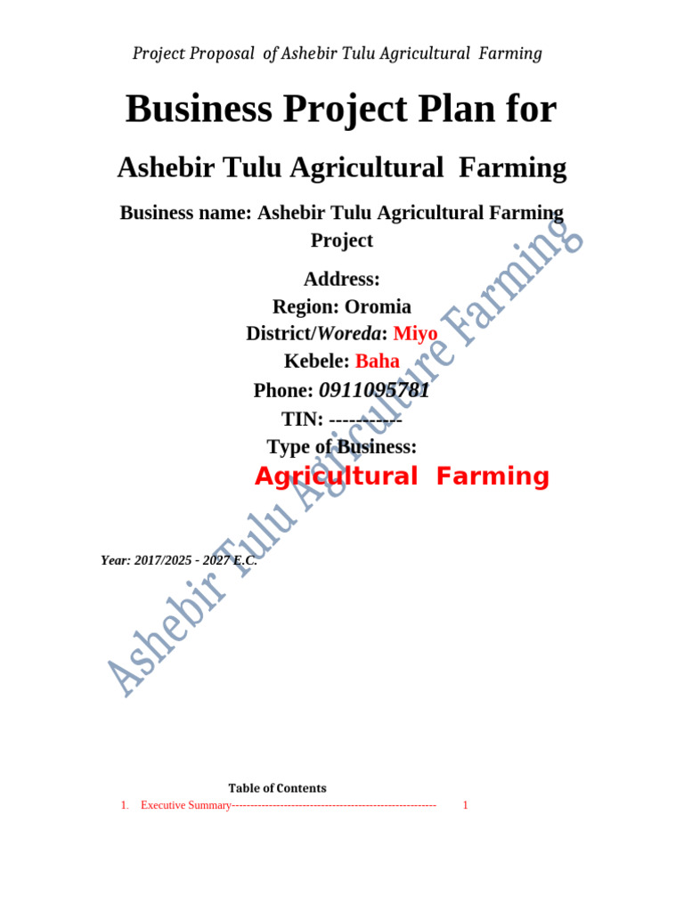 Ashebir Tulu Agricultural Business Plan | PDF | Expense | Income Statement
