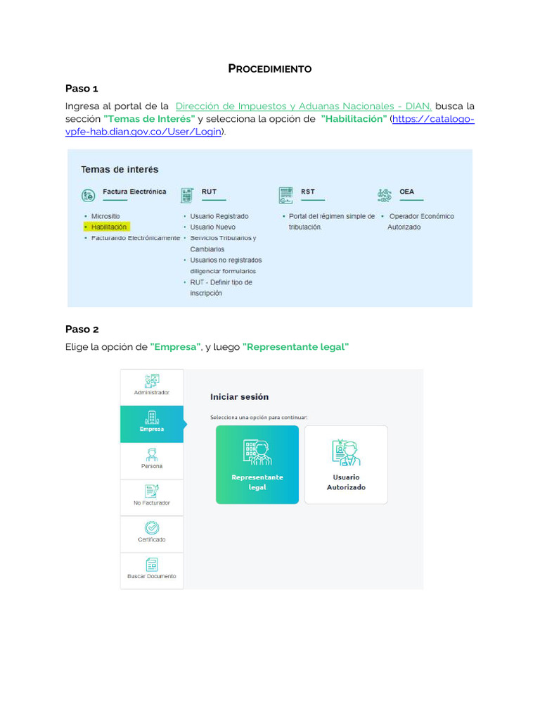 Habilitación en RADIAN para Facturadores | PDF | Software | Business