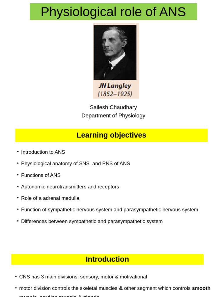 Understanding the Autonomic Nervous System | PDF | Autonomic Nervous ...