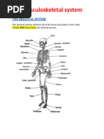 human-body-bones-list-206-pdf-vertebra-toe