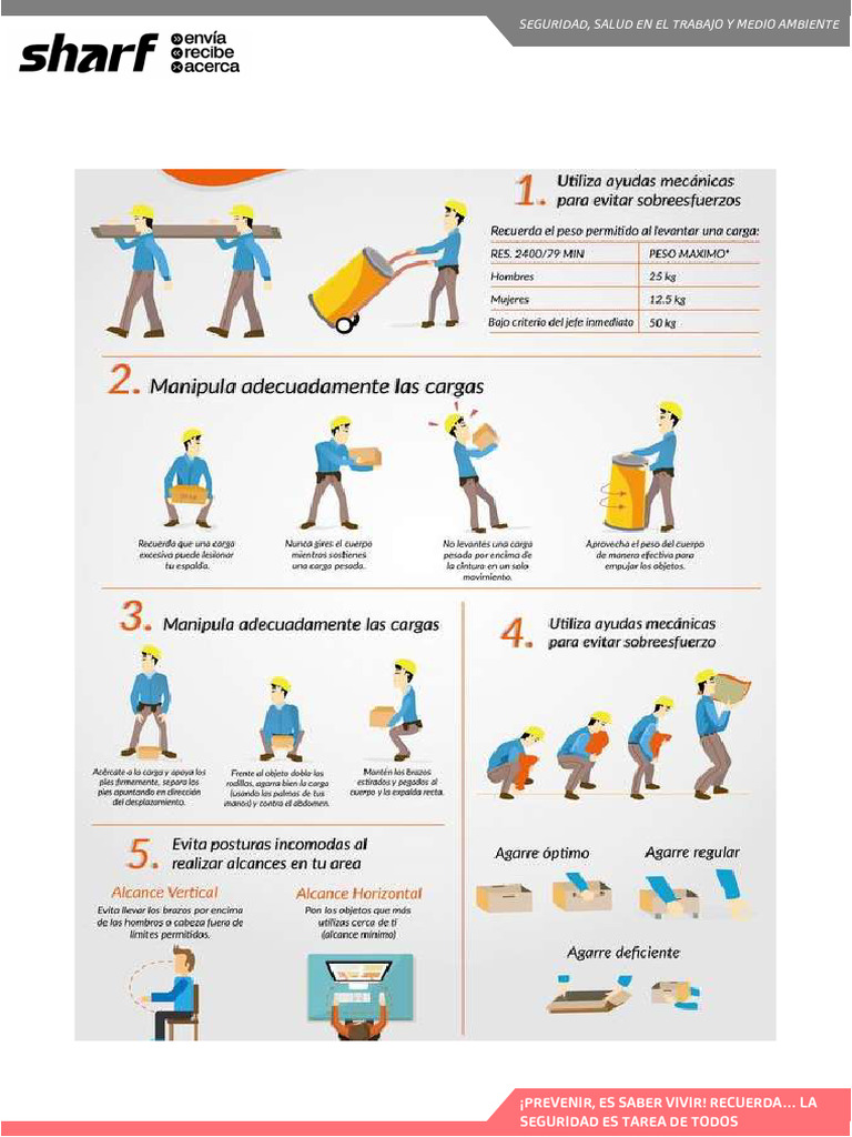 Instructivo de Manejo de Cargas | PDF