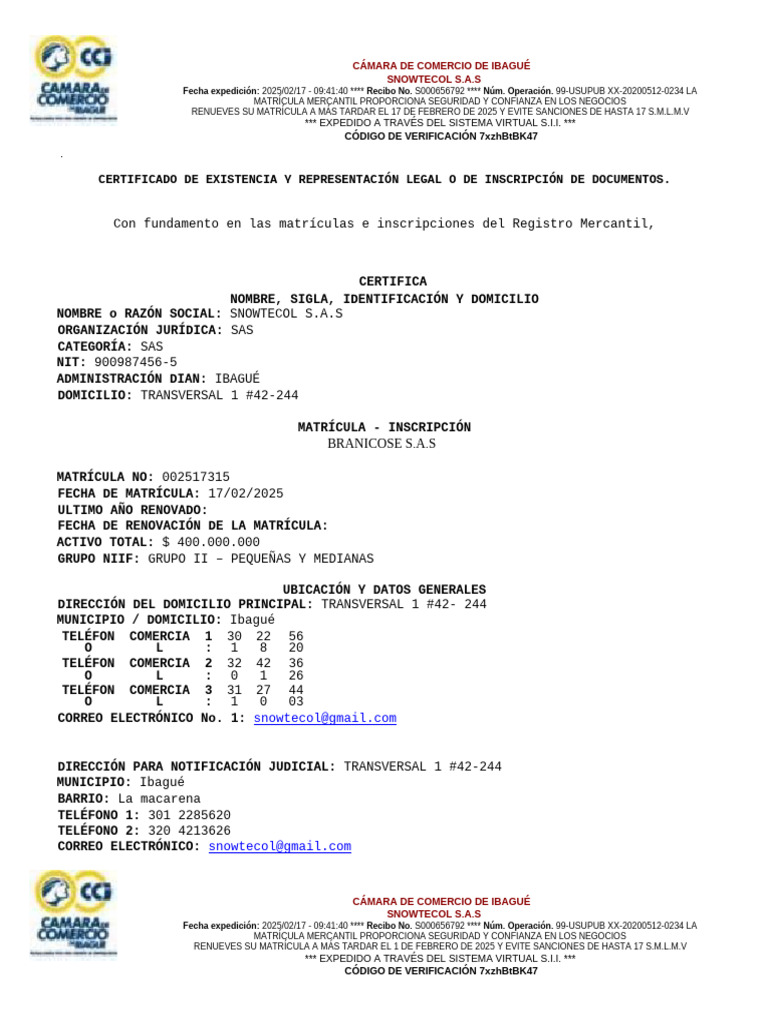 4.certificado de Camara y Comercio | PDF | Sociedad de responsabilidad ...