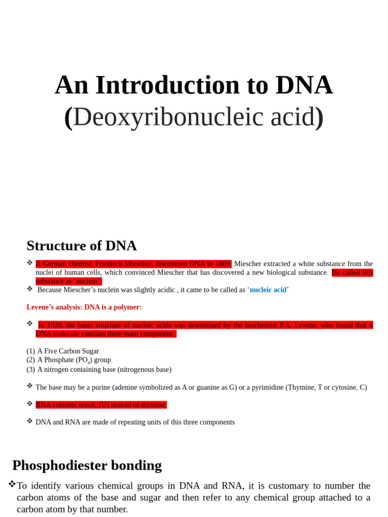 An Introduction To DNA | PDF | Dna | Nucleic Acids