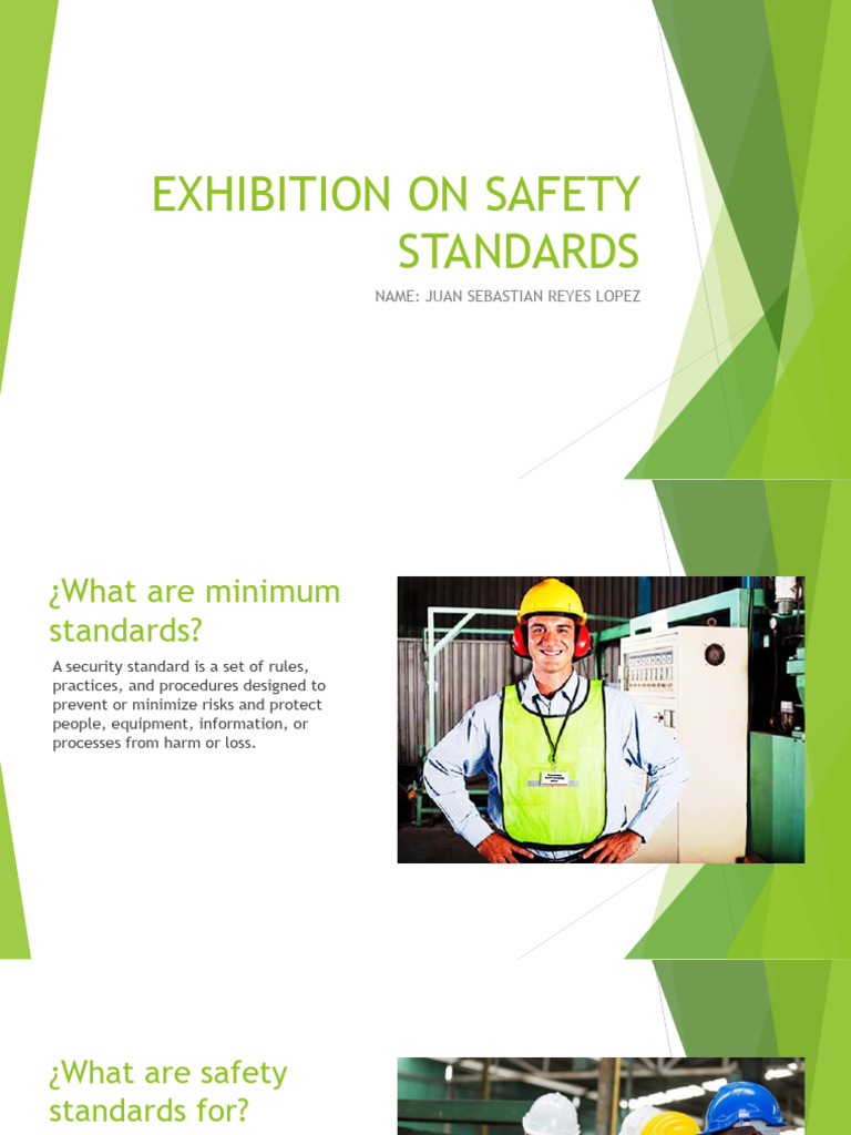 Safety Standards-Sebastian Reyes | PDF