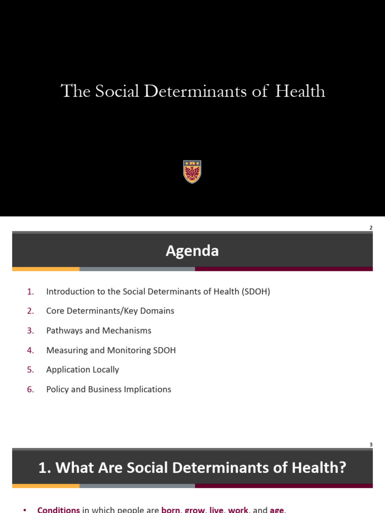 Understanding Social Determinants of Health | PDF | Health Equity ...
