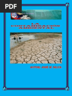 La Contaminación Ambiental