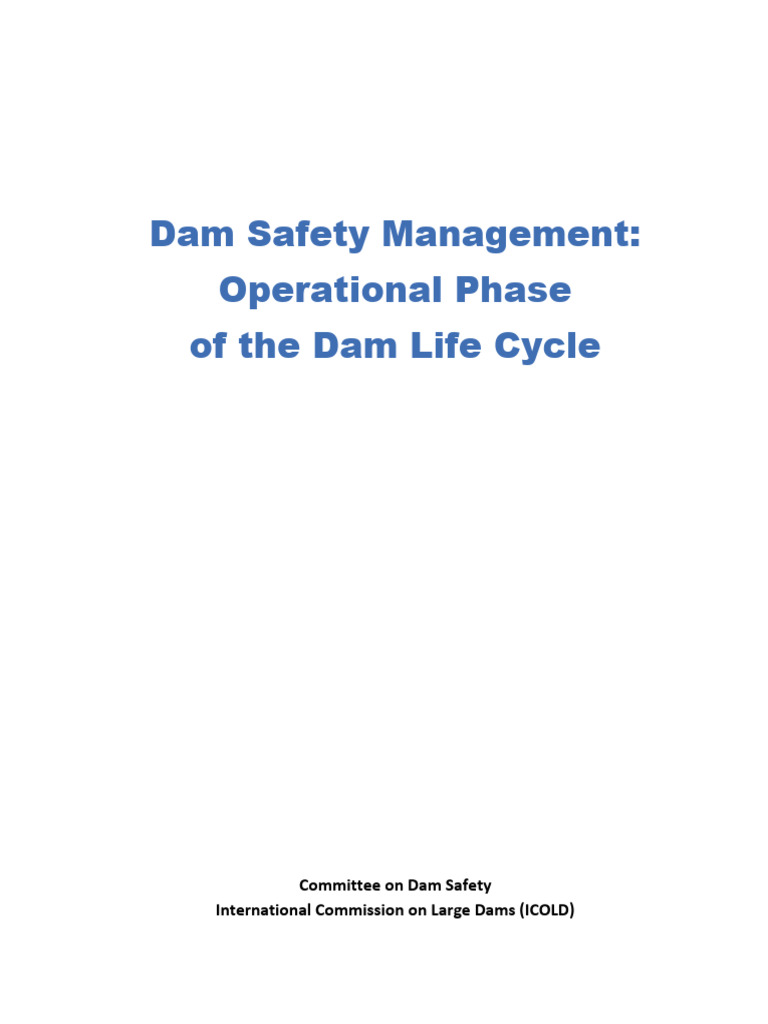 Dam Safety Management Guidelines | PDF | Risk | Safety