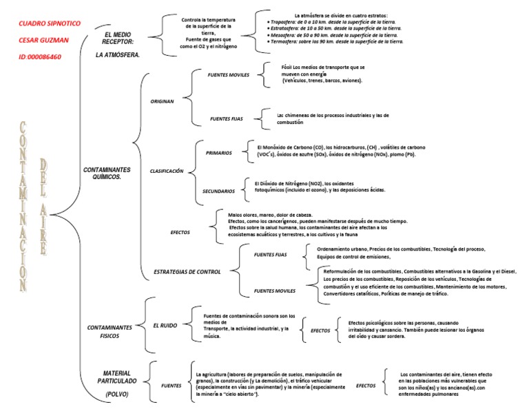 Cuadro Sipnotico Contaminacion Del Aire Cesar Guzman
