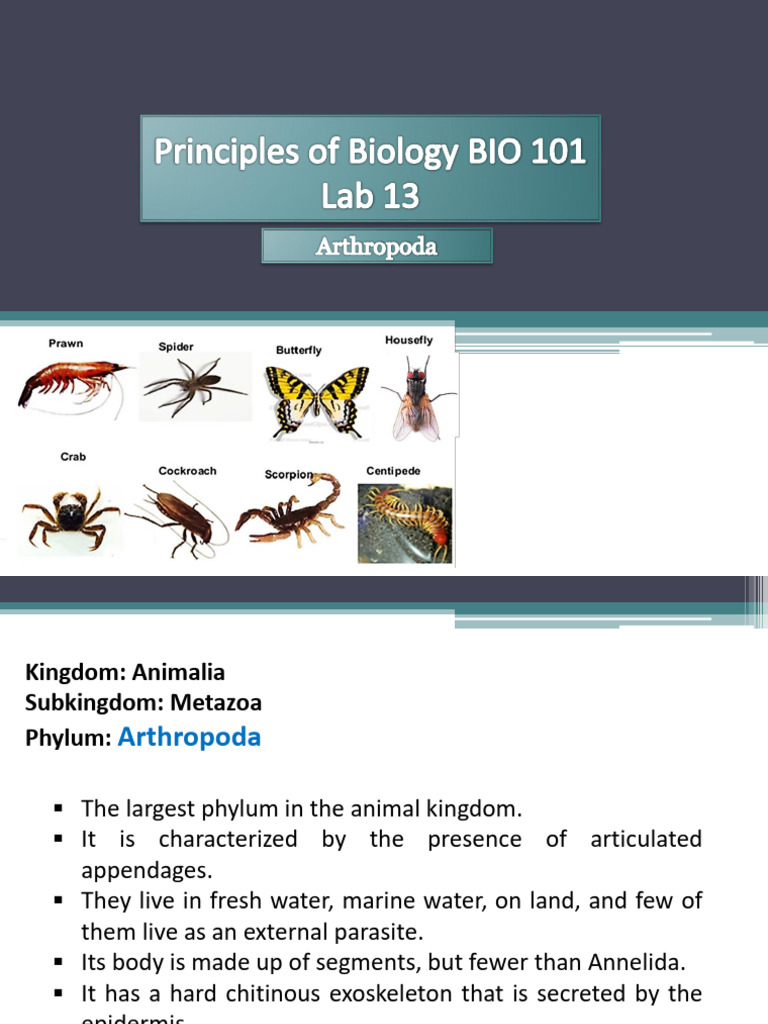 Lab. 13 | PDF