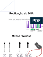 Aula 6 ReplicacaoDoDNA