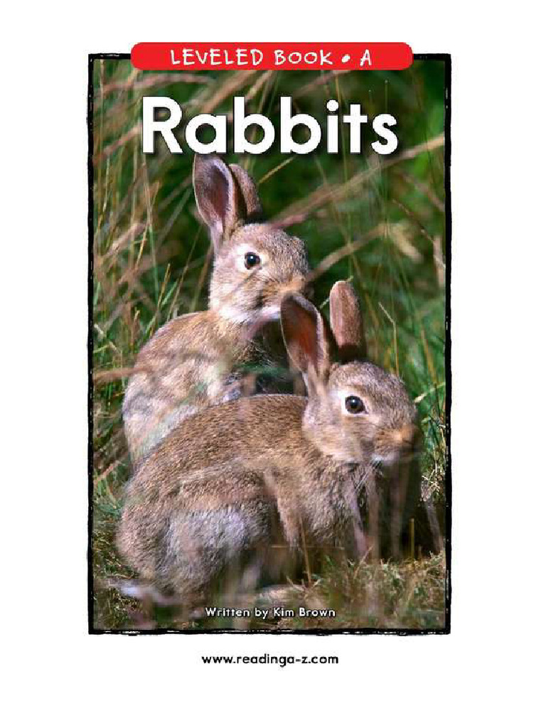 Rabbits (A) | PDF