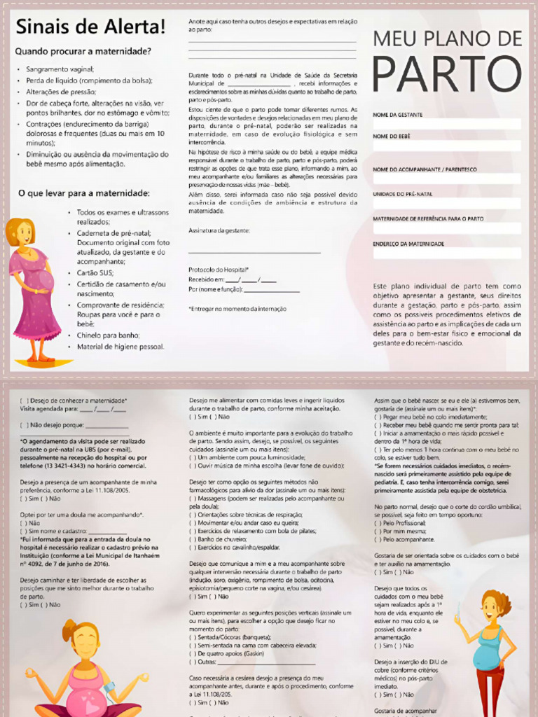 Folder Plano de Parto Ok | PDF