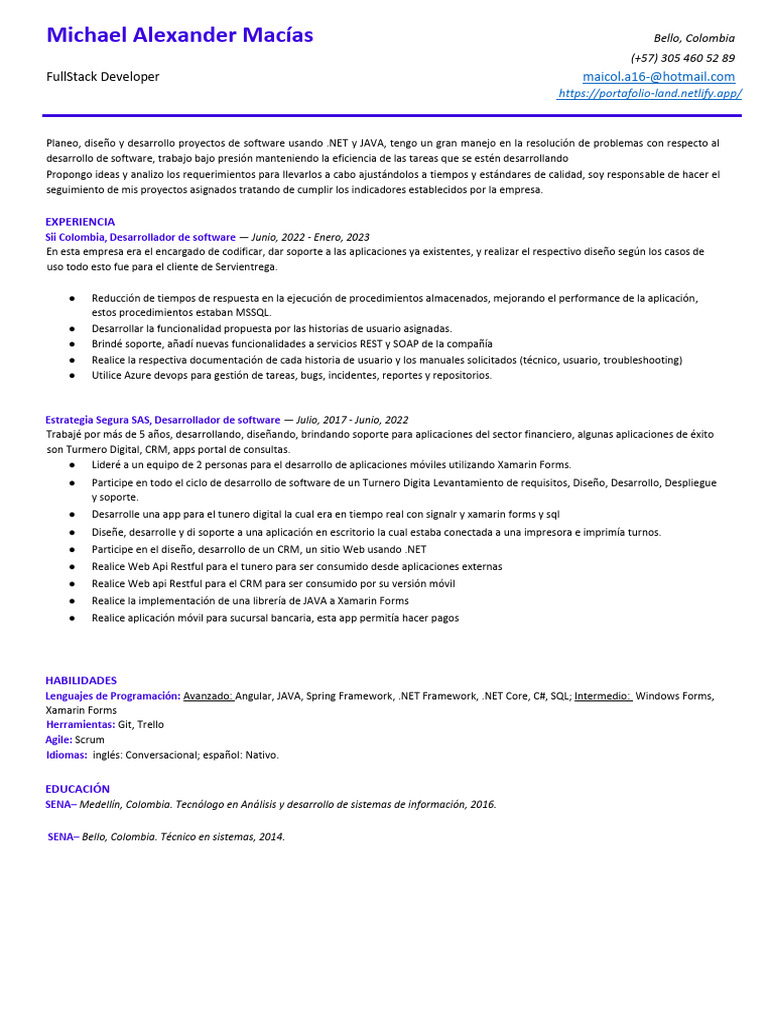 Cv Michael Alexander Mac a Stuber - 1