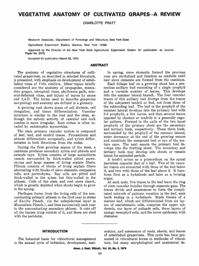 Vegetative Anatomy of Cultivated Grapes - A Review 131.full | PDF ...