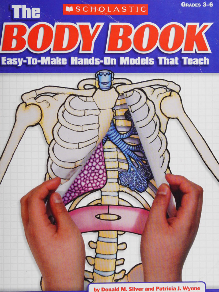 Models of the Human Body | PDF | Senses