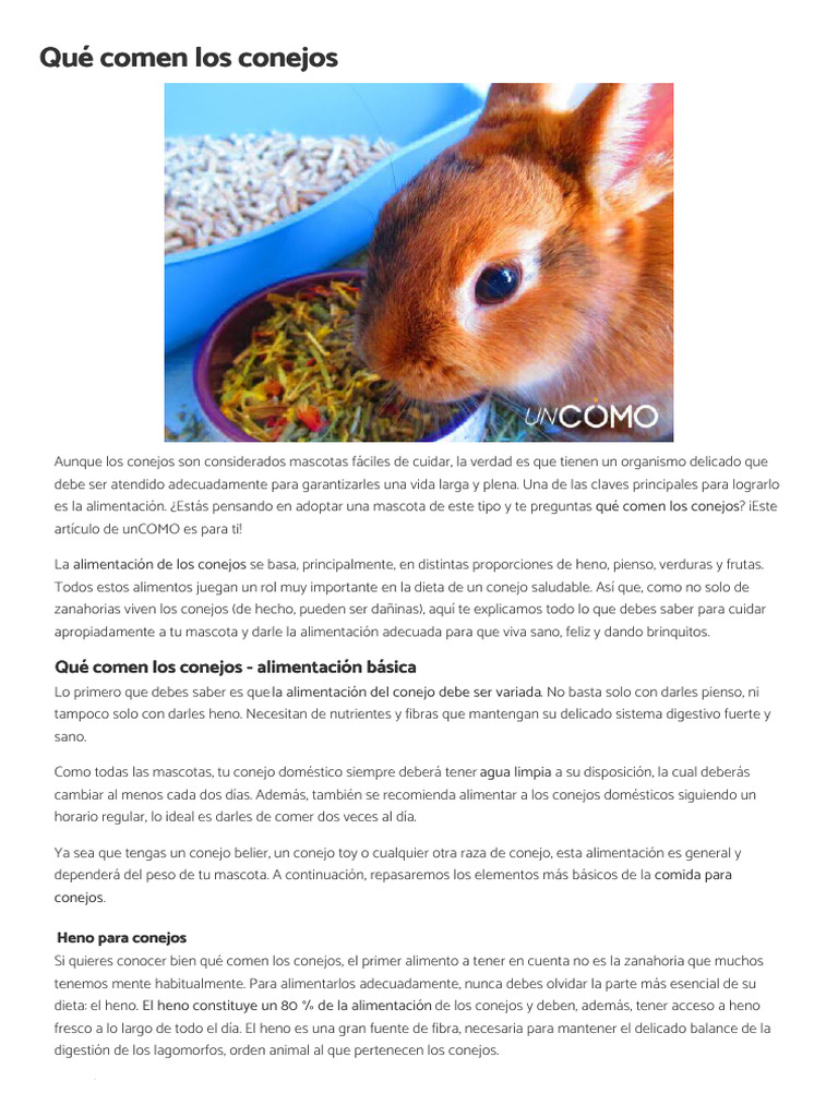 Qué Comen Los Conejos - WWW - Mundodeportivo.com - Uncomo | PDF ...
