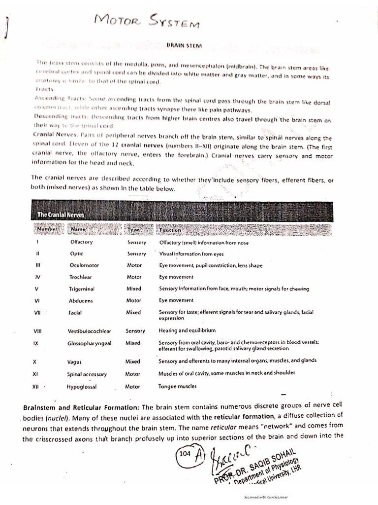 CNS Part 2 | PDF