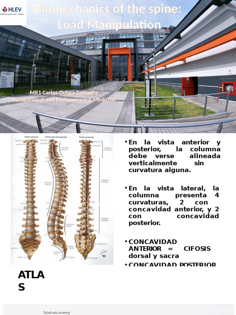 Biomecanica de La Columna Vertebral Ckozpec | PDF | La columna ...