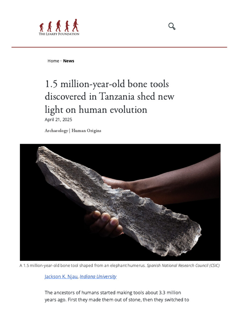 1 5 Million Year Old Bone Tools Discovered in Tanzania Shed New | PDF ...