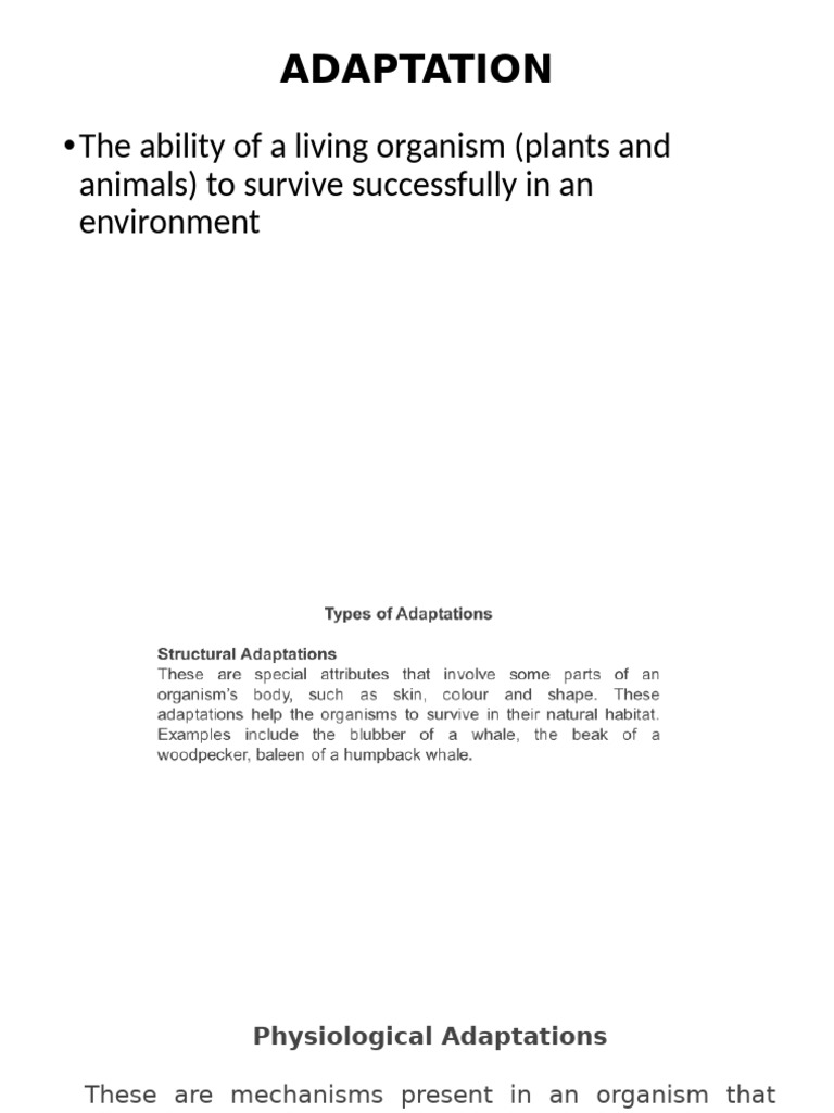 Types of Organism Adaptations Explained | PDF | Leaf | Stoma
