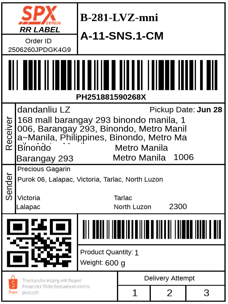 Lazada Waybill Details and Delivery Info | PDF