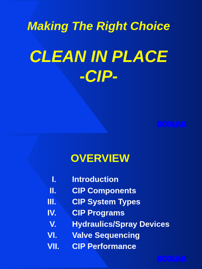 CIP System Overview and Performance Guide | PDF | Valve | Pump