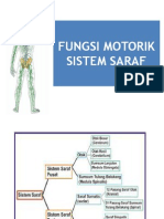 Fungsi Motorik