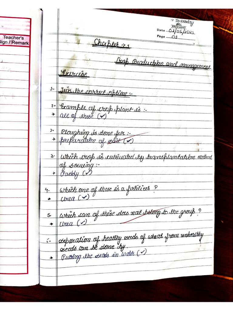 Science Chapter 1 Notes | PDF