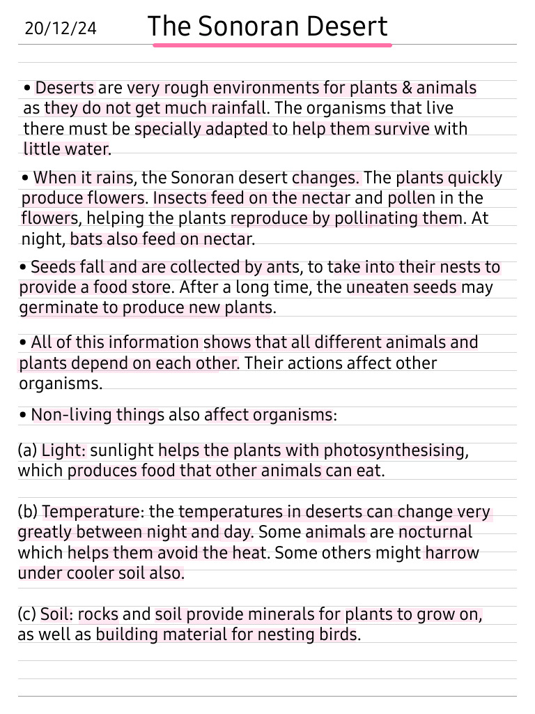 Sonoran Desert Ecosystem Interactions | PDF