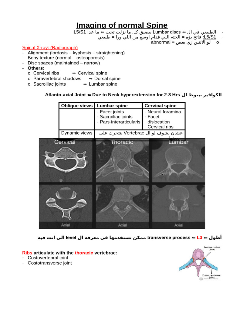 1 Imaging of Normal Spine | PDF