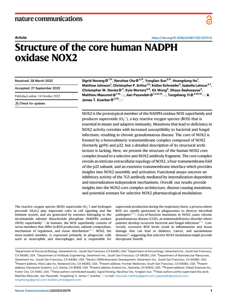 NOX2 Core Complex Structure Insights | PDF | Nutrients | Structural Biology