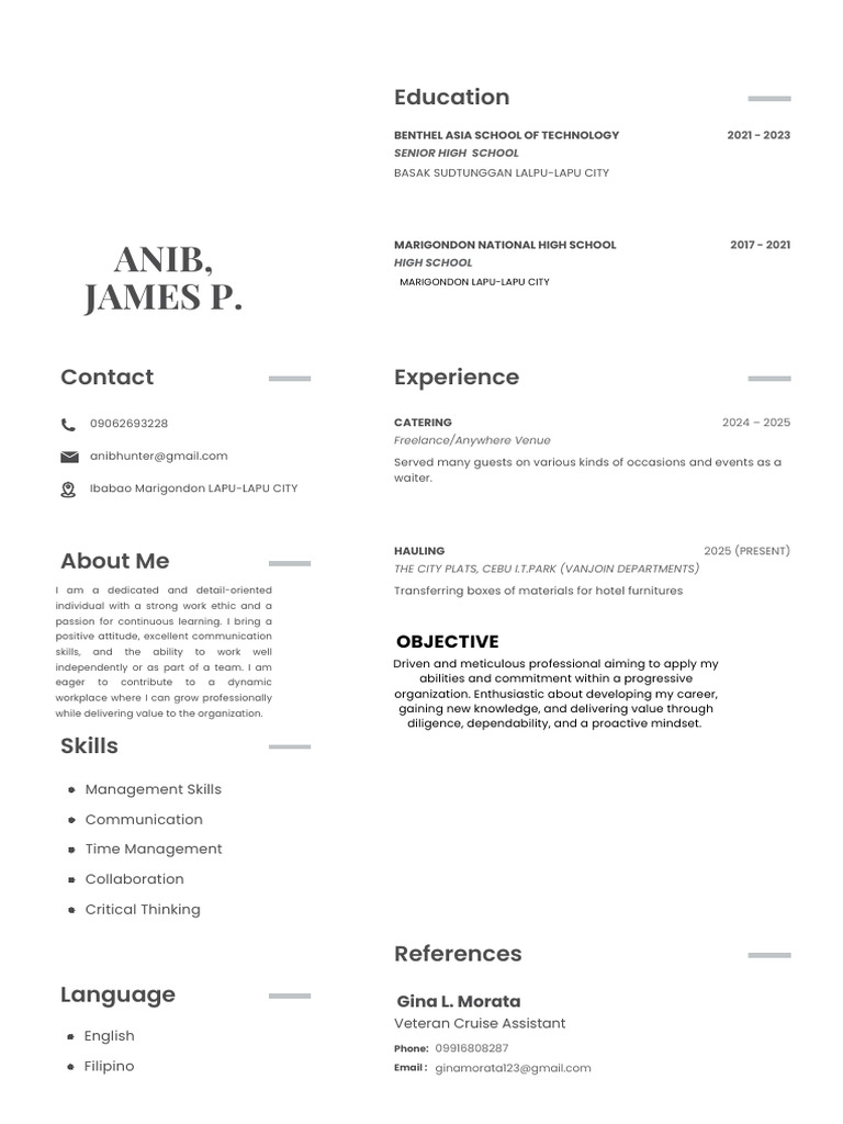 Minimalist Professional CV Resume | PDF | Learning | Cognition