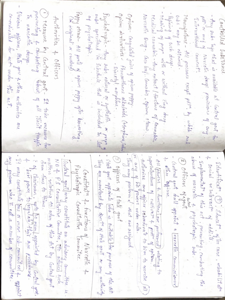 Unti 4 PJ Notes | PDF