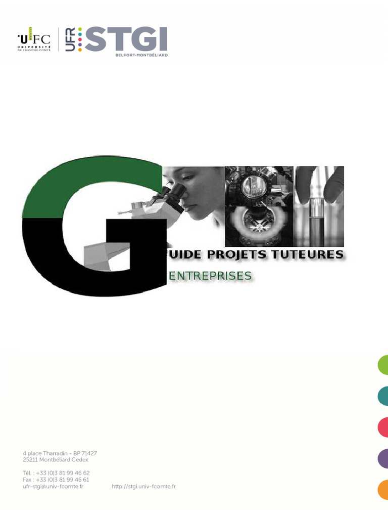 Guide des Projets Tuteurés en Entreprises | PDF | Apprentissage | Pédagogie