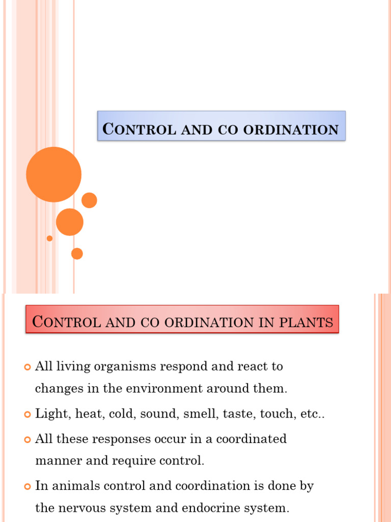 Plant Control and Coordination Explained | PDF | Plant Hormone | Plants