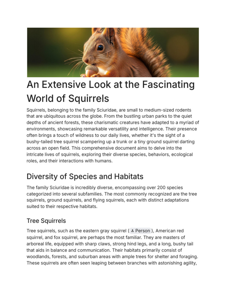 Understanding Squirrels: Species & Ecology | PDF | Squirrel | Predation