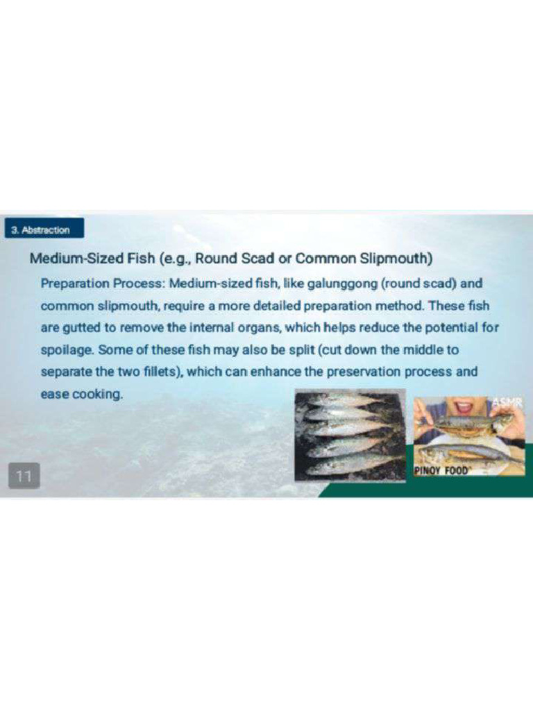 Specifications of Medium Fish | PDF