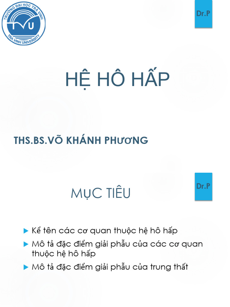 Hệ Hô Hấp | PDF