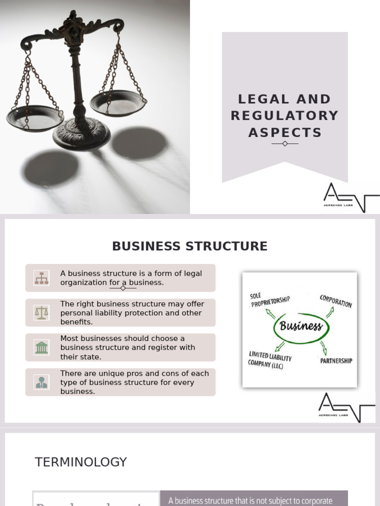Business Structure Legal Guide | PDF | Limited Liability Company ...
