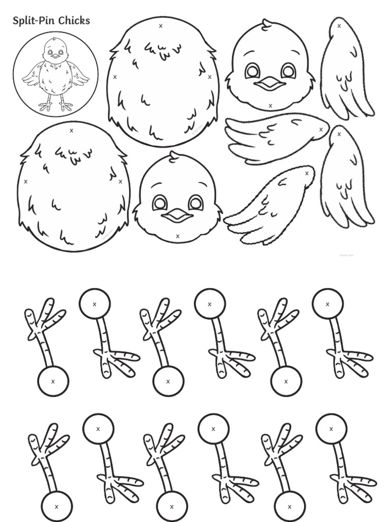 Split Pin Chicks Separate Pages Pdf