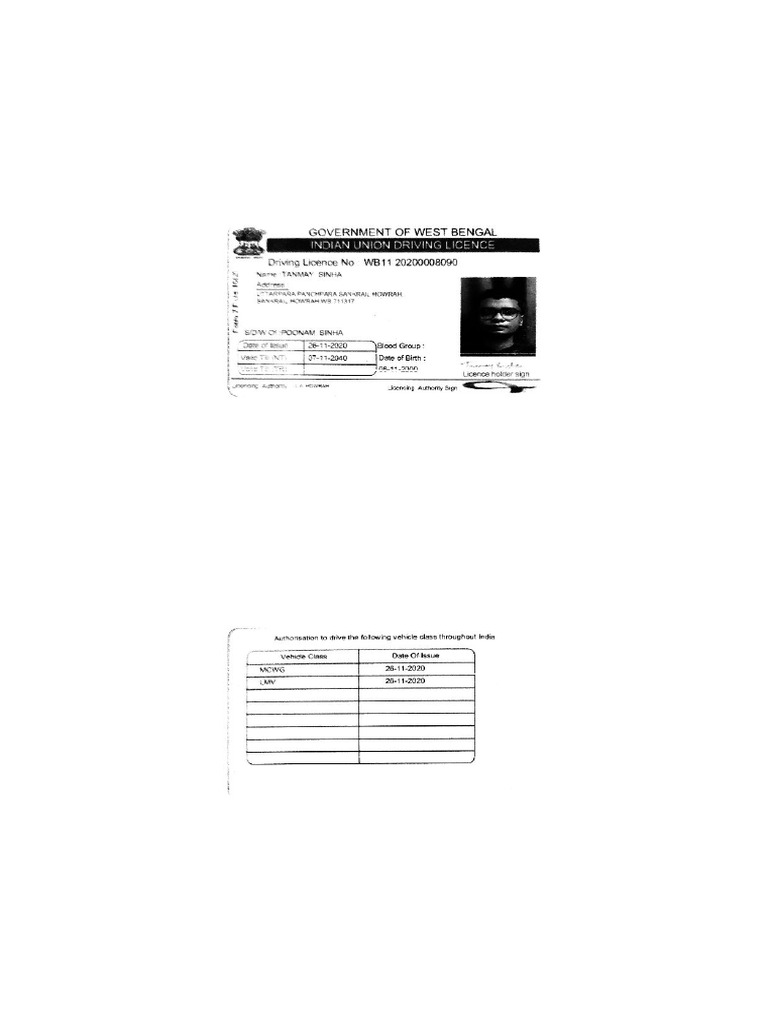 Driving Licence | PDF