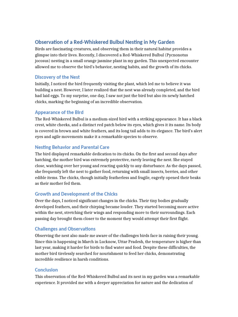 Bird Observation Essay | PDF | Birds | Nest