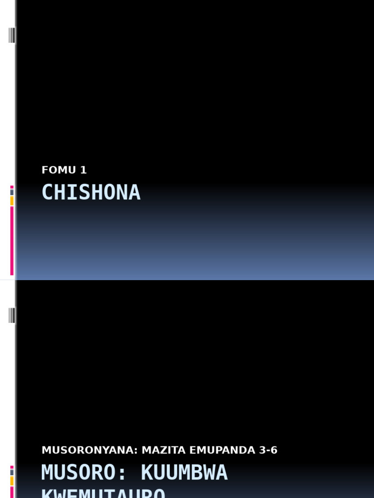 Mupanda Mazita: Chidzidzo cheChiShona | PDF