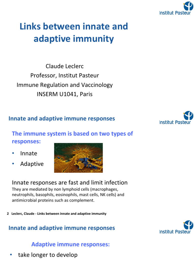 Innate vs. Adaptive Immunity Explained | PDF | Immune System | Innate ...