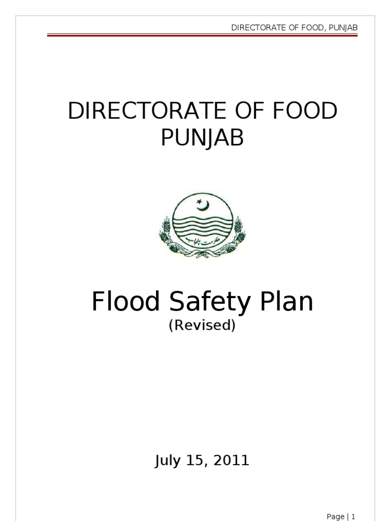29417flood Safety Measures Report Part 1 | PDF | Flood | Soil