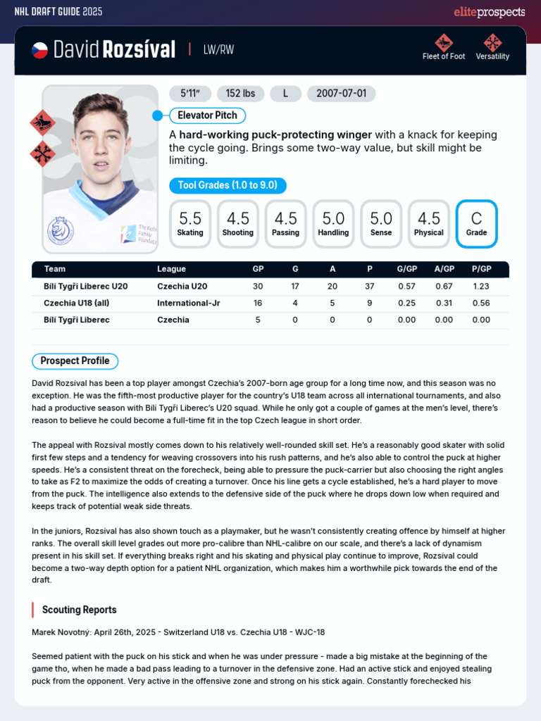 David Rozsíval Scouting Report 2025 | PDF | Team Sports | Ice Hockey