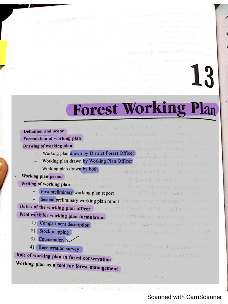 13 Forest Working Plan - LT | PDF